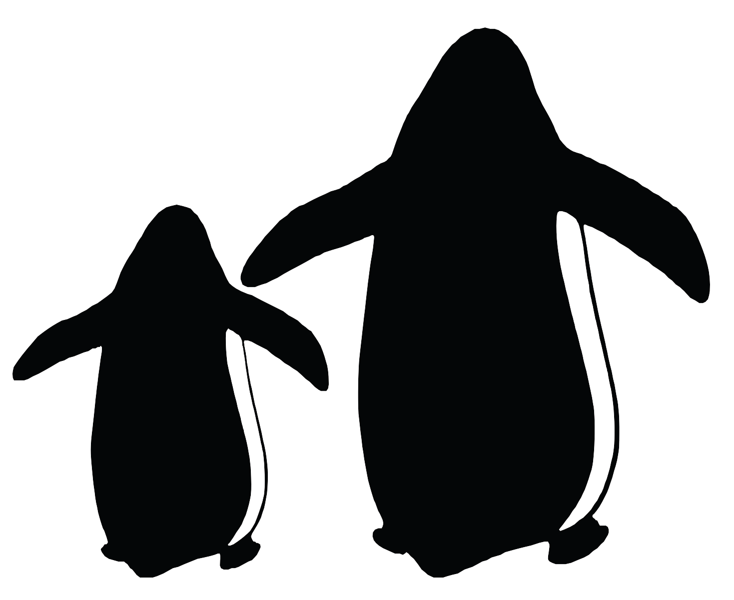 Paddle Certification: Cutting Through the Noise